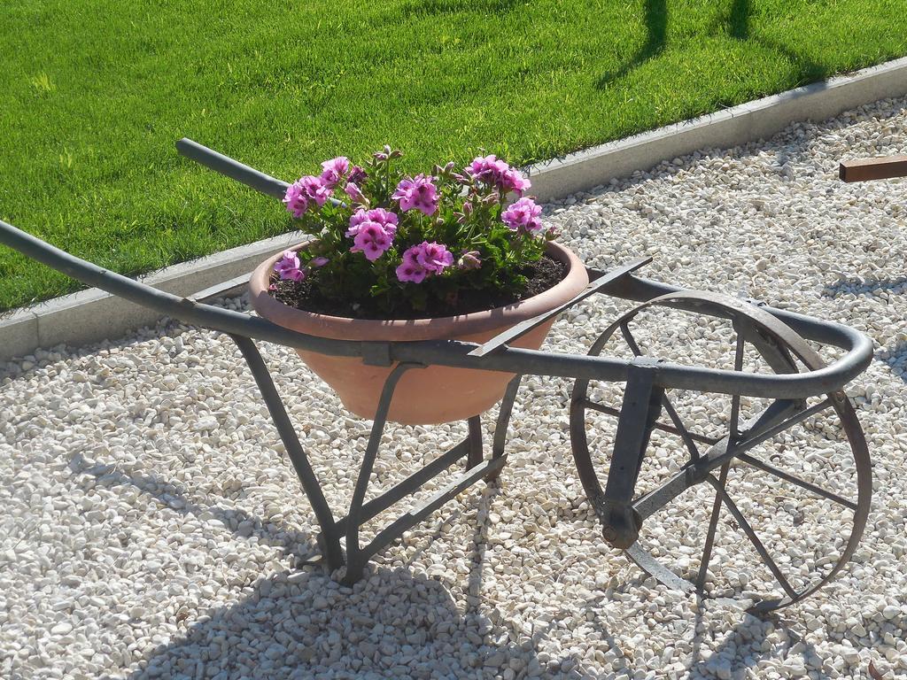 B&B La Casetta Dei Nonni Orvieto Exterior foto